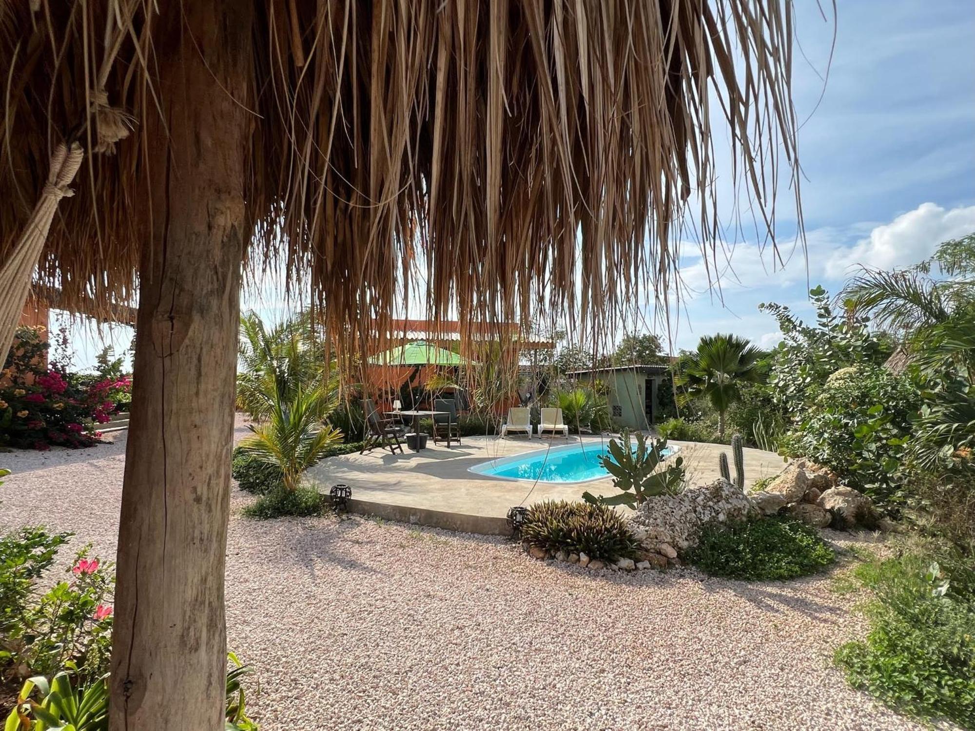 The Octopus Tropical Oasis Dorp Dorp Sint Michiel Exterior foto