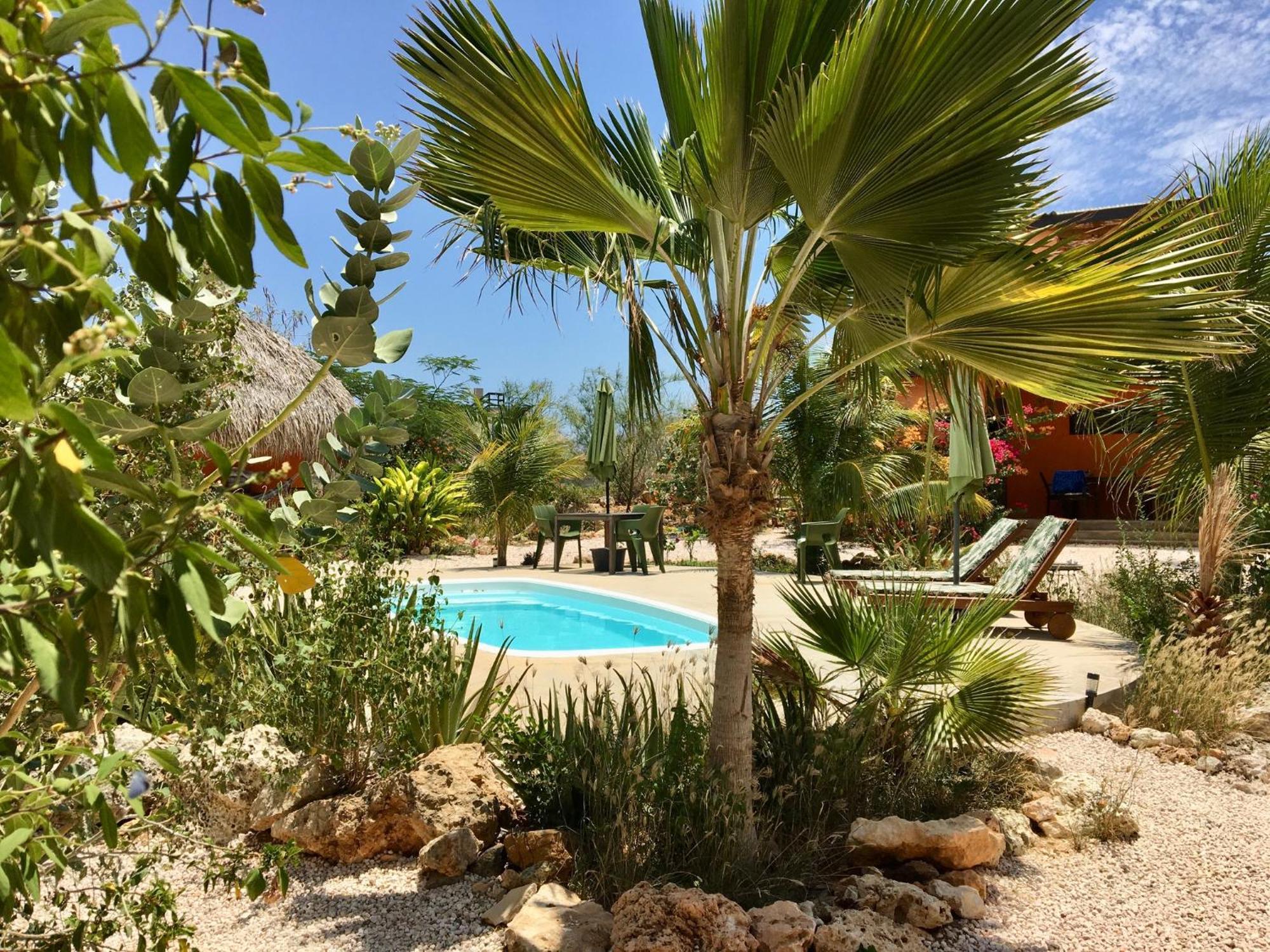 The Octopus Tropical Oasis Dorp Dorp Sint Michiel Exterior foto