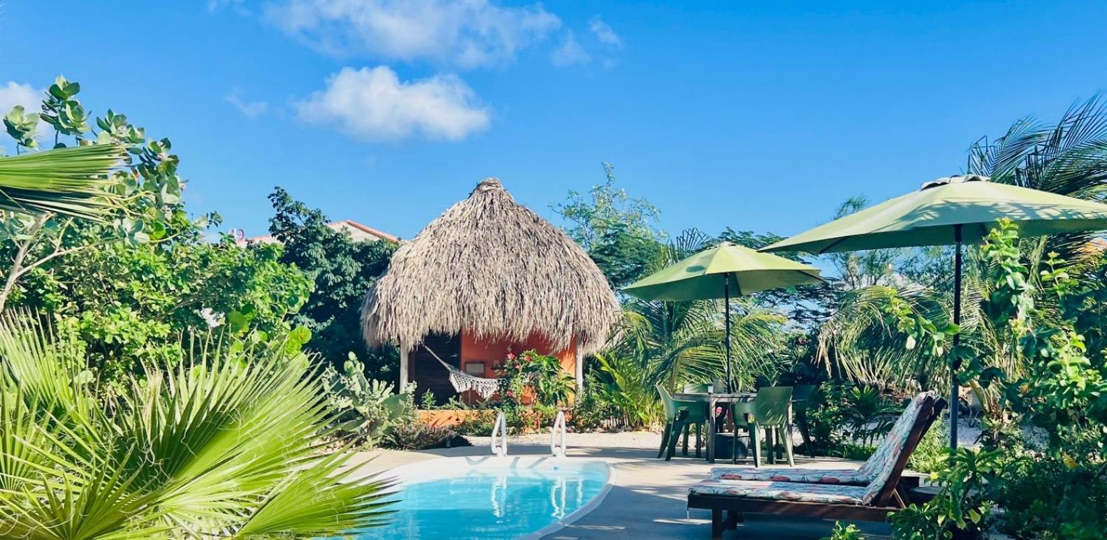 The Octopus Tropical Oasis Dorp Dorp Sint Michiel Exterior foto