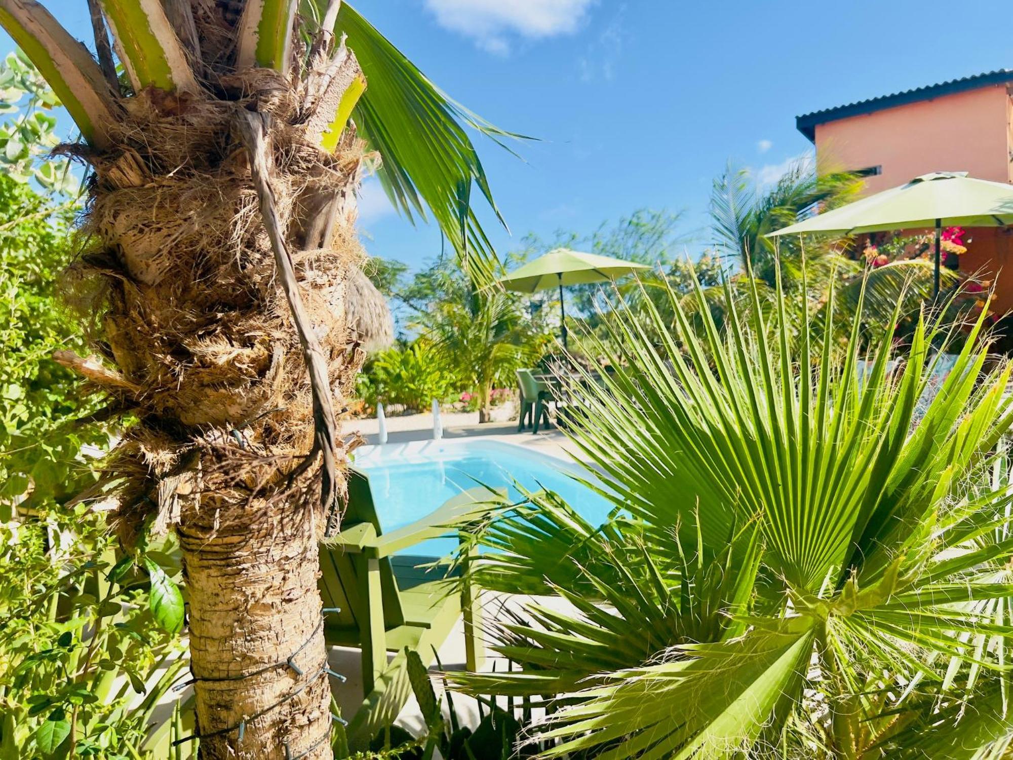 The Octopus Tropical Oasis Dorp Dorp Sint Michiel Exterior foto